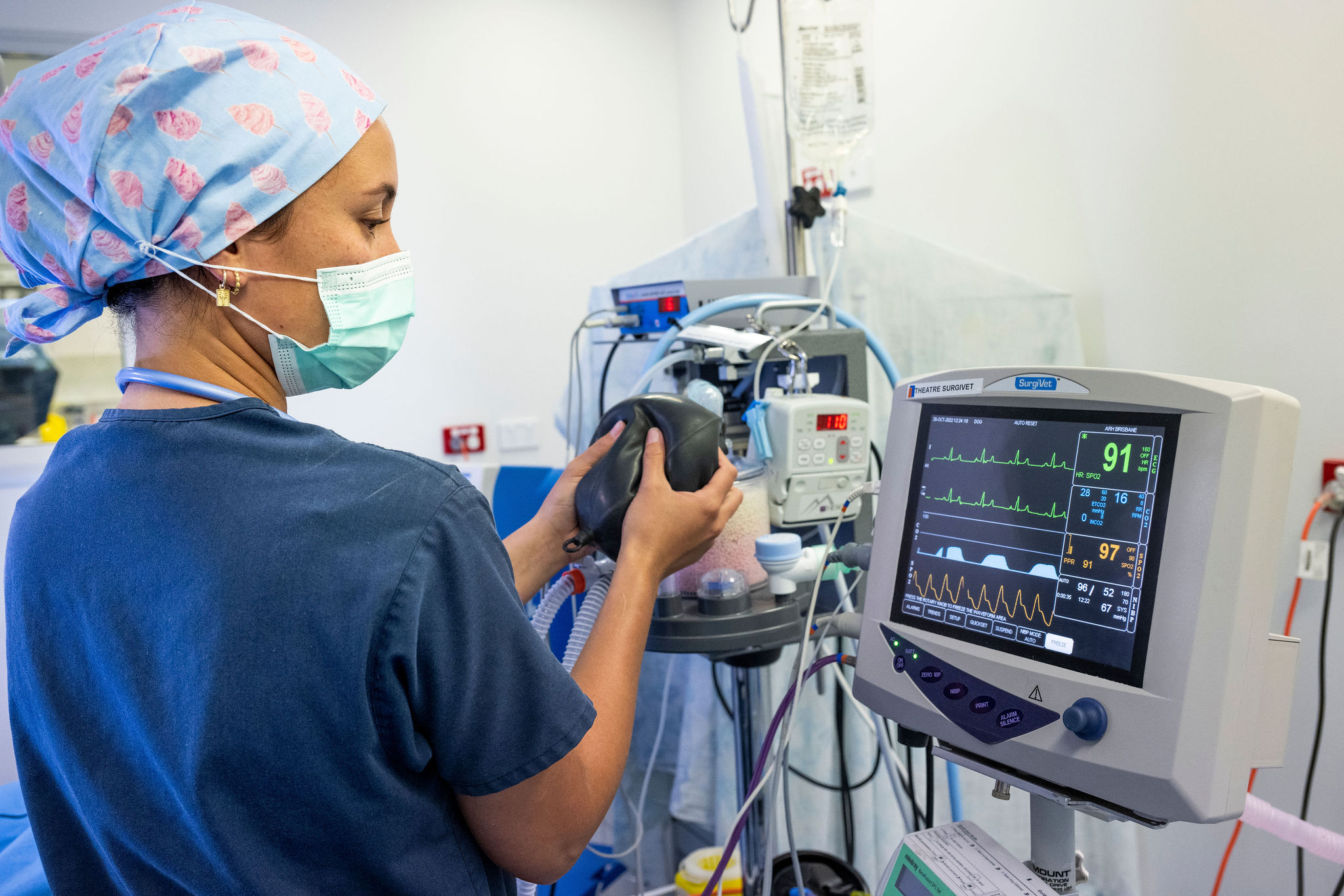 Emergency Vet Brisbane About Our Care Animal Referral Hospital